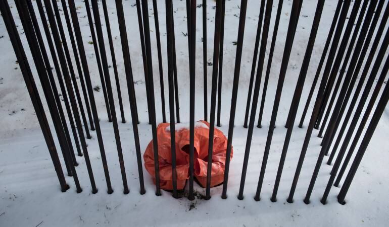 Imagen de referencia