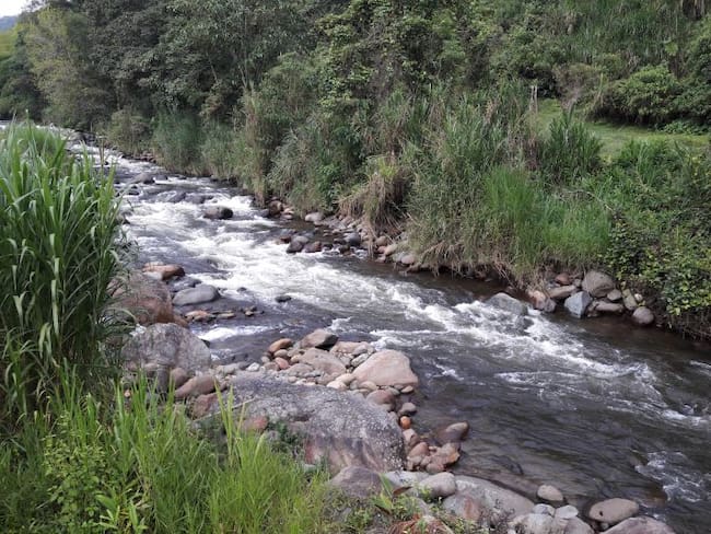En Quindío hay municipios que NO invierten recursos para la protección hídrica