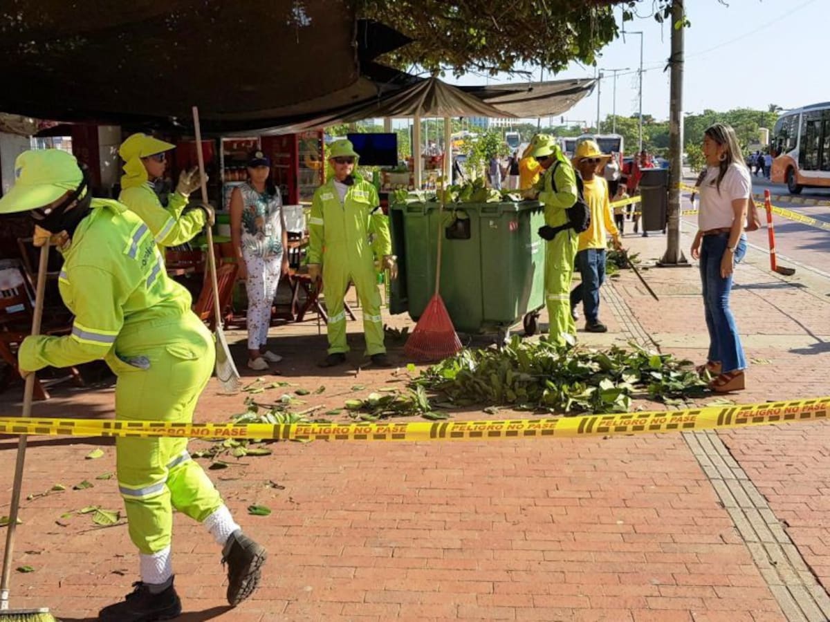 Jornadas de aseo en Cartagena para recibir la temporada de vacaciones