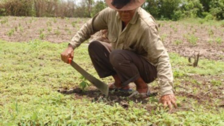 Este sábado, celebración de los 50 años trabajando por los campesinos