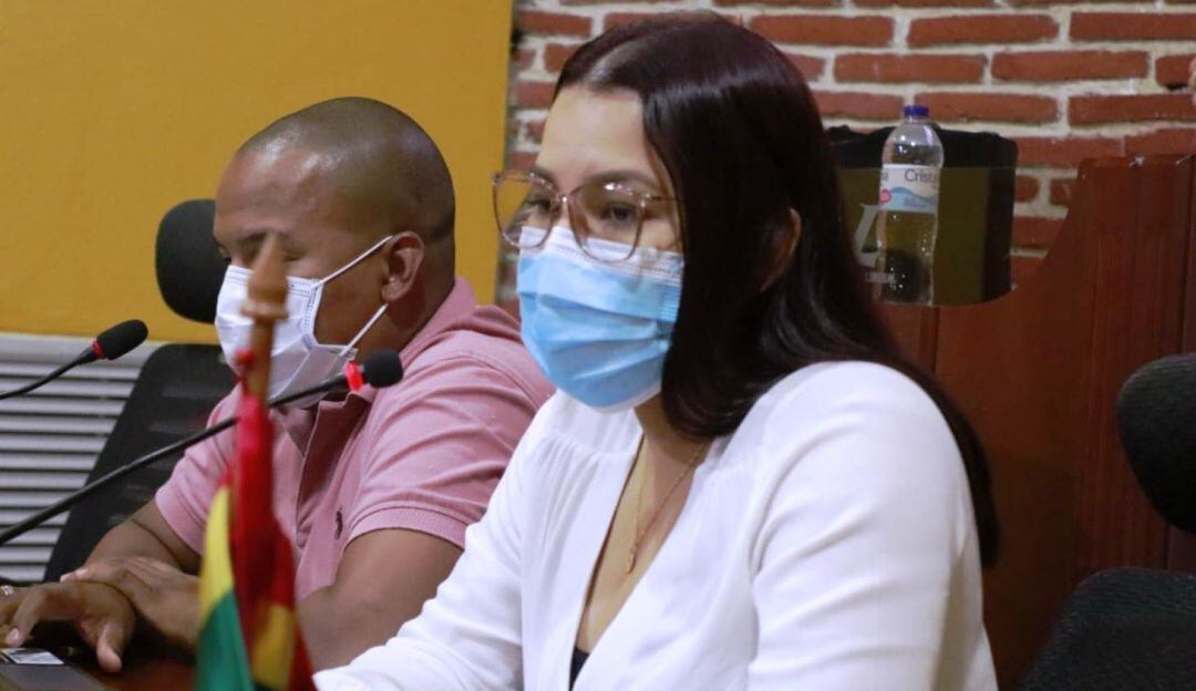 Concejo planea debate sobre proliferación de estaciones de servicios