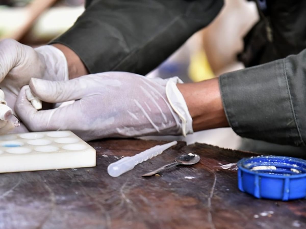 Clan del Golfo estaría comprando cocaína en el Cauca