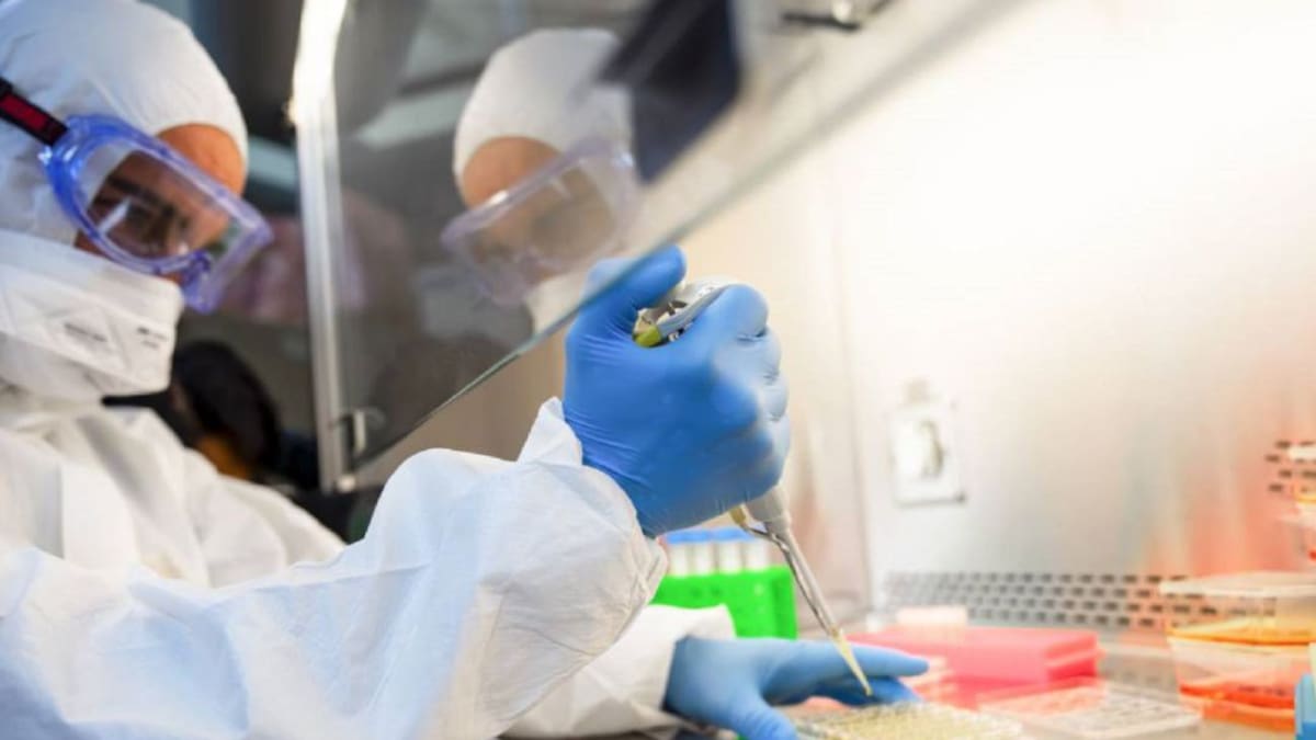Colombia tiene su propia cepa de coronavirus