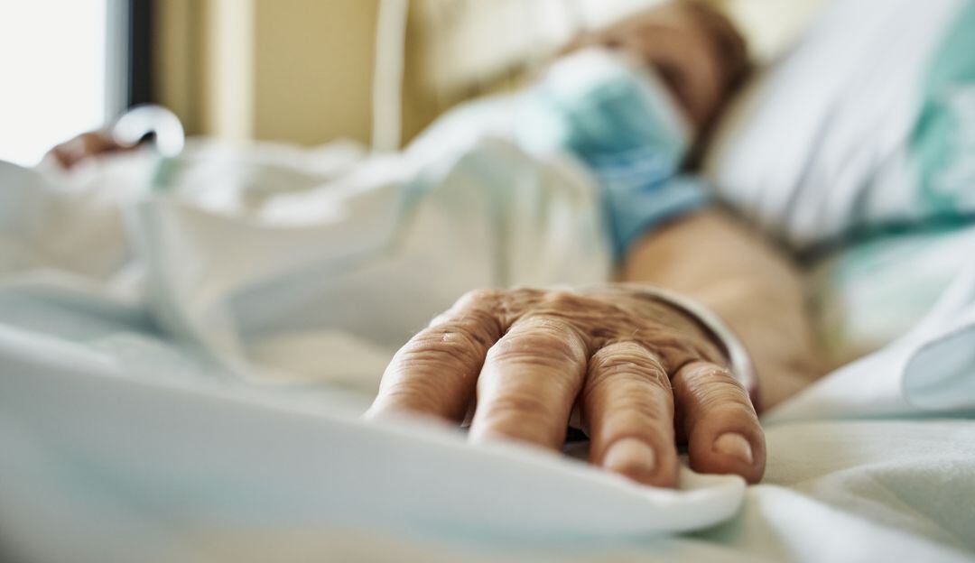 Imagen de referencia 