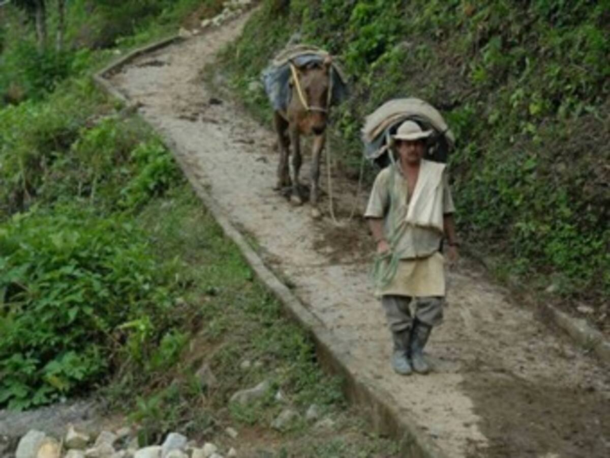 POT permitiría trabajar más en zonas de reserva campesina: Gobierno Distrital