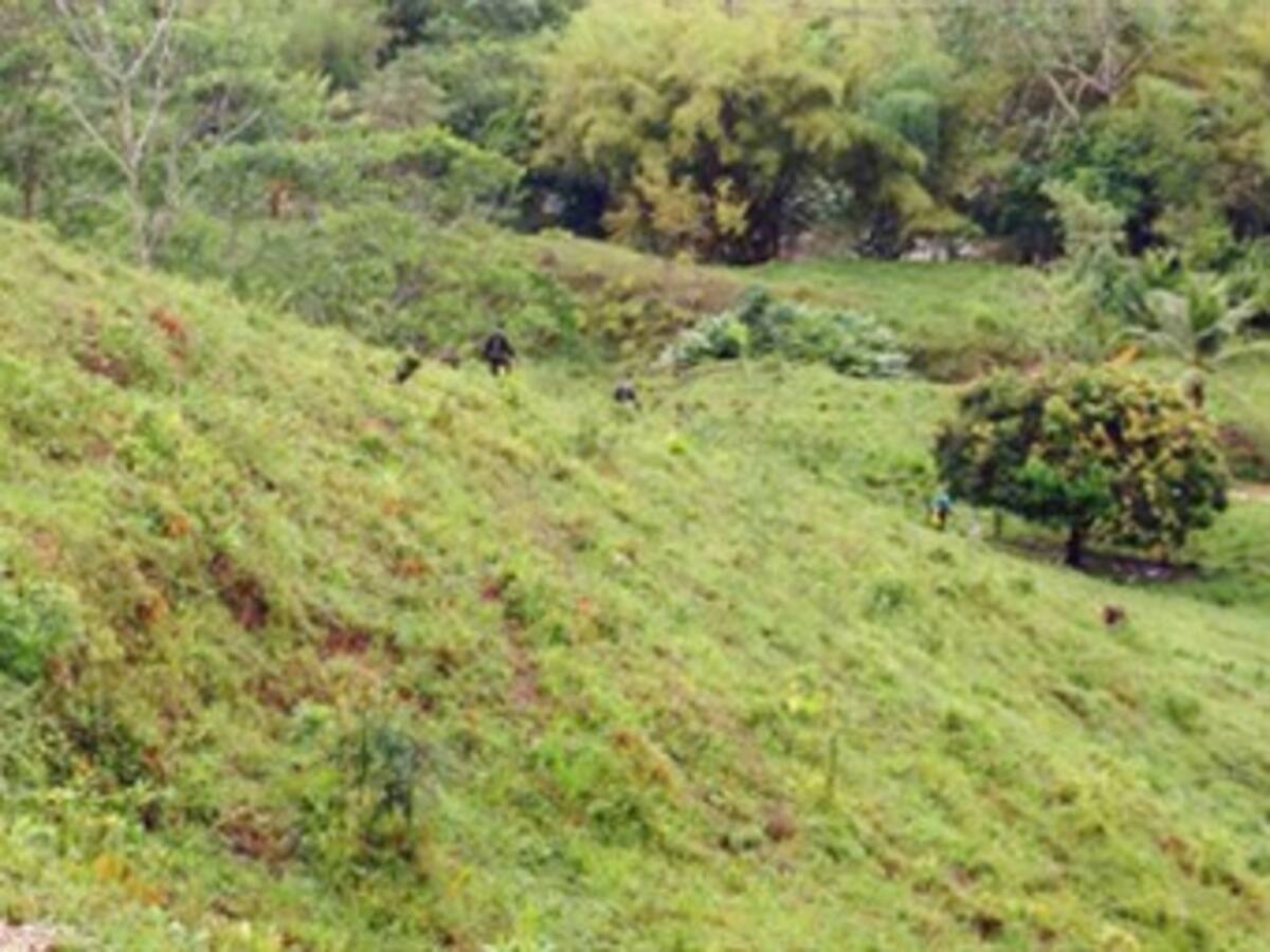 Se perdieron más de 300 millones de la Unidad de restitución de tierras