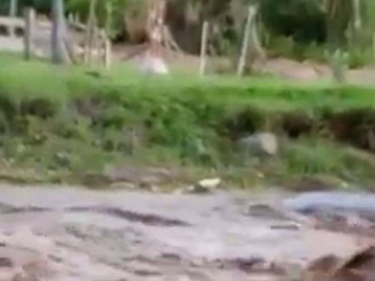 Creciente de río Quindío generó afectaciones de agua en Armenia y Tebaida