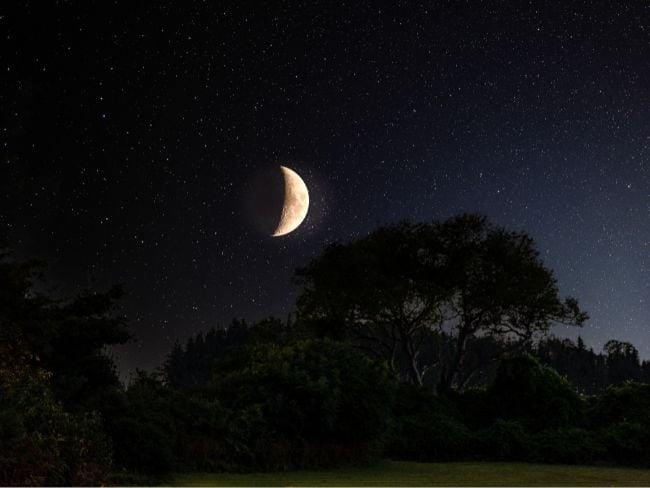 Fases de la luna Foto: Getty Images