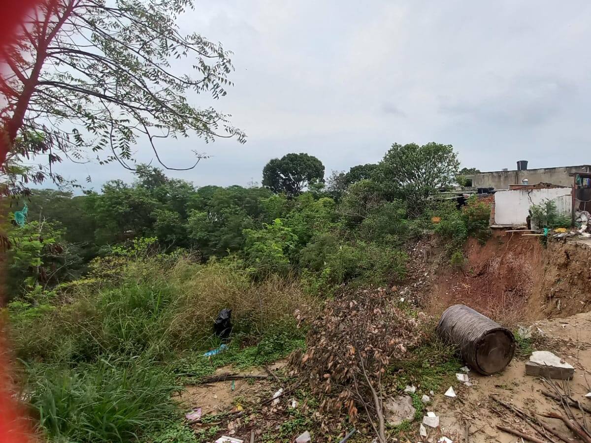 En riesgo varias viviendas en Palmeras
