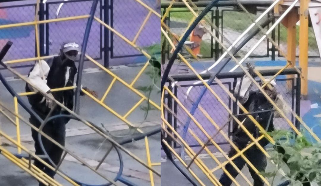 Robo del parque de La Primavera