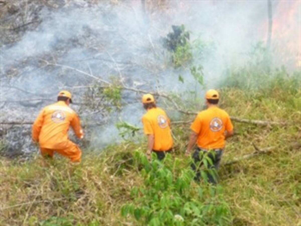 Cuatro incendios forestales en el país