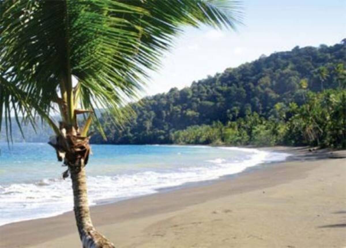 Bahía Solano se conoce también como “Ciudad Mutis”, situada sobre el Pacífico en el golfo de Cupíca a 178 km de Quibdó (capital del departamento del Chocó), ocupa una estrecha playa entre la Serranía del Baudó y el propio océano. Sus atractivos principales son la pesca y la observación de ballenas jorobadas y aves migratorias.