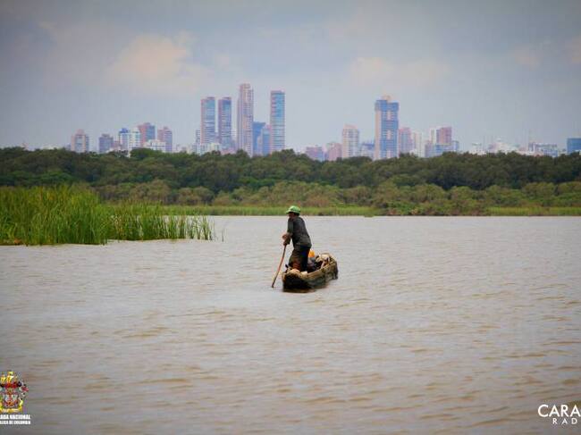 Los pescadores realizan su faena y de fondo los grandes edificios de Barranquilla