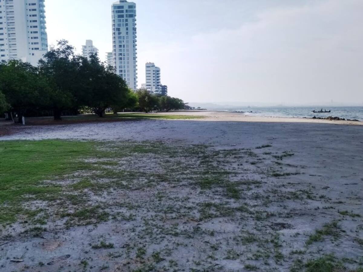 Las medidas para reapertura de playas están a cargo del Distrito: Dimar