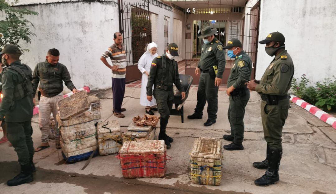 Incautación de 230 kilos de bocachico