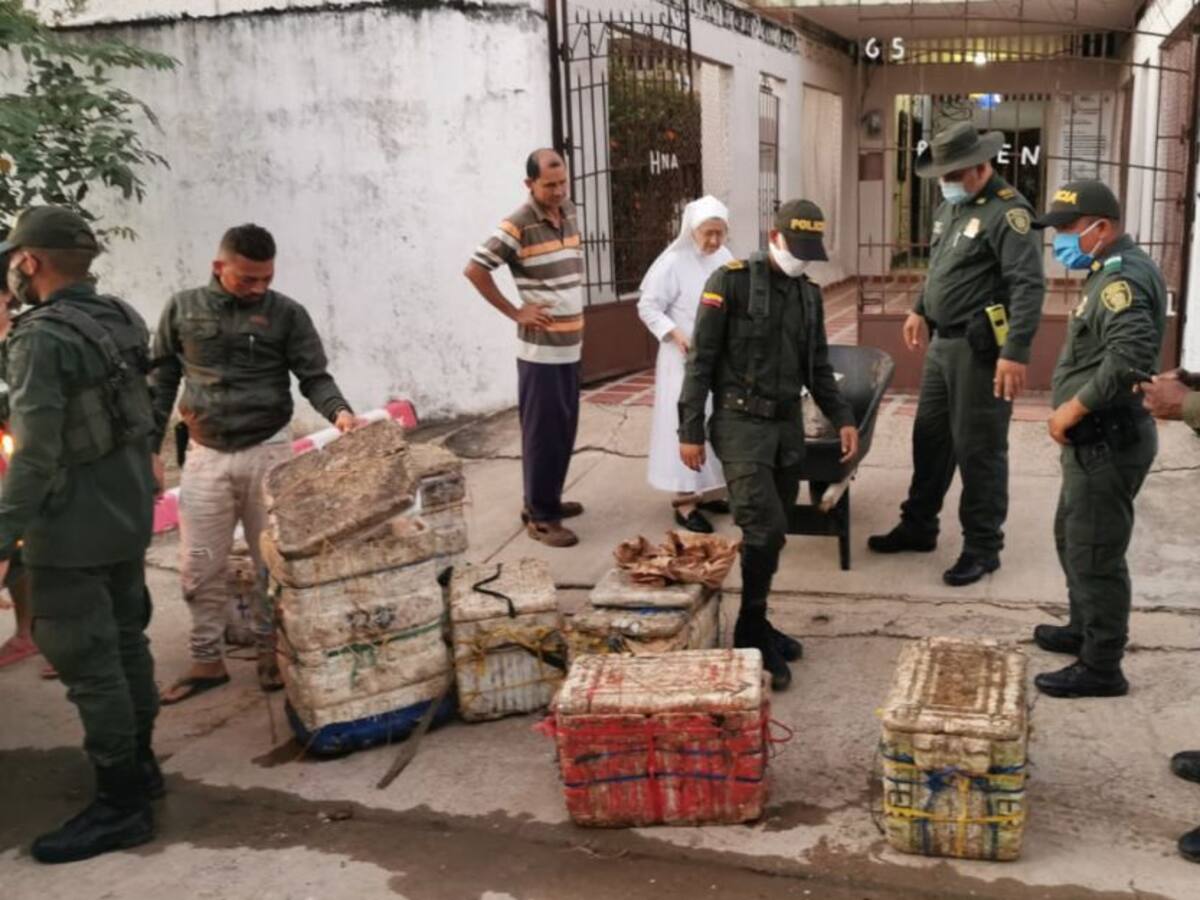 Policía incautó 230 kilos de bocachico en Magangué
