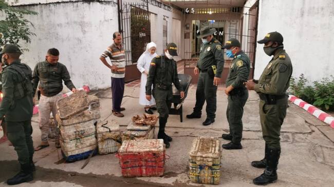 Incautación de 230 kilos de bocachico