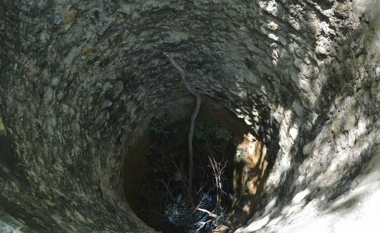 Imagen de referencia