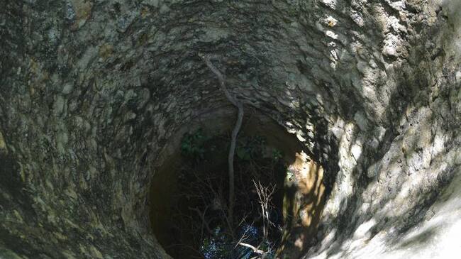 Imagen de referencia