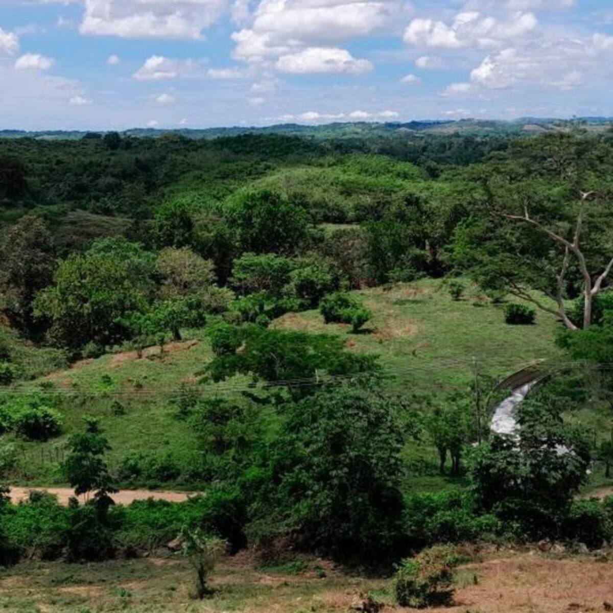 Acceso a tierras en Bolívar: ruedas de negocios en Cartagena y San Juan Nepomuceno