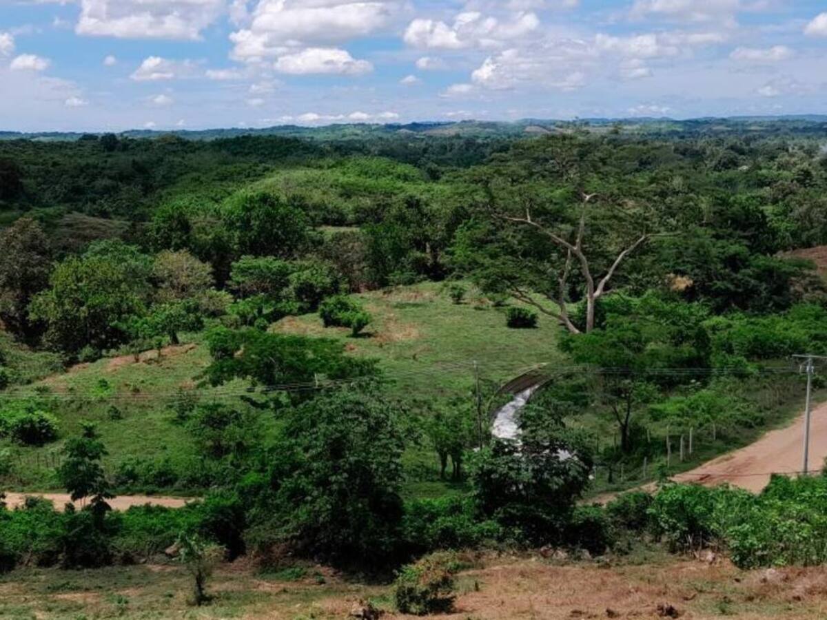 Acceso a tierras en Bolívar: ruedas de negocios en Cartagena y San Juan Nepomuceno