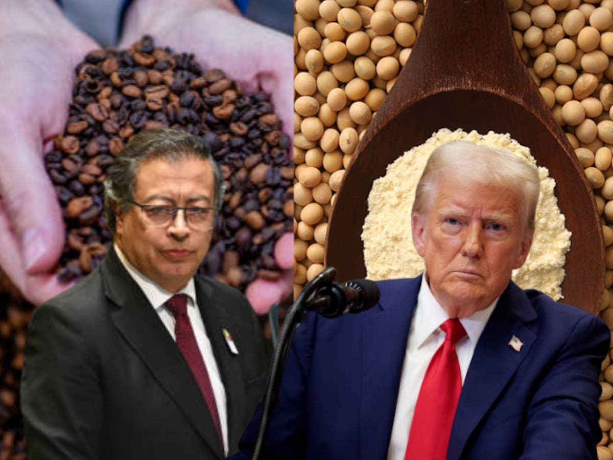 Qué se exporta e importa entre Colombia y Estados Unidos: Productos y relación comercial