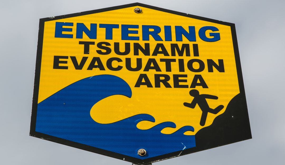 Las autoridades costeras pidieron que las personas que residan en zonas cercanas al mar evacúen inmediatamente hacia zonas altas.