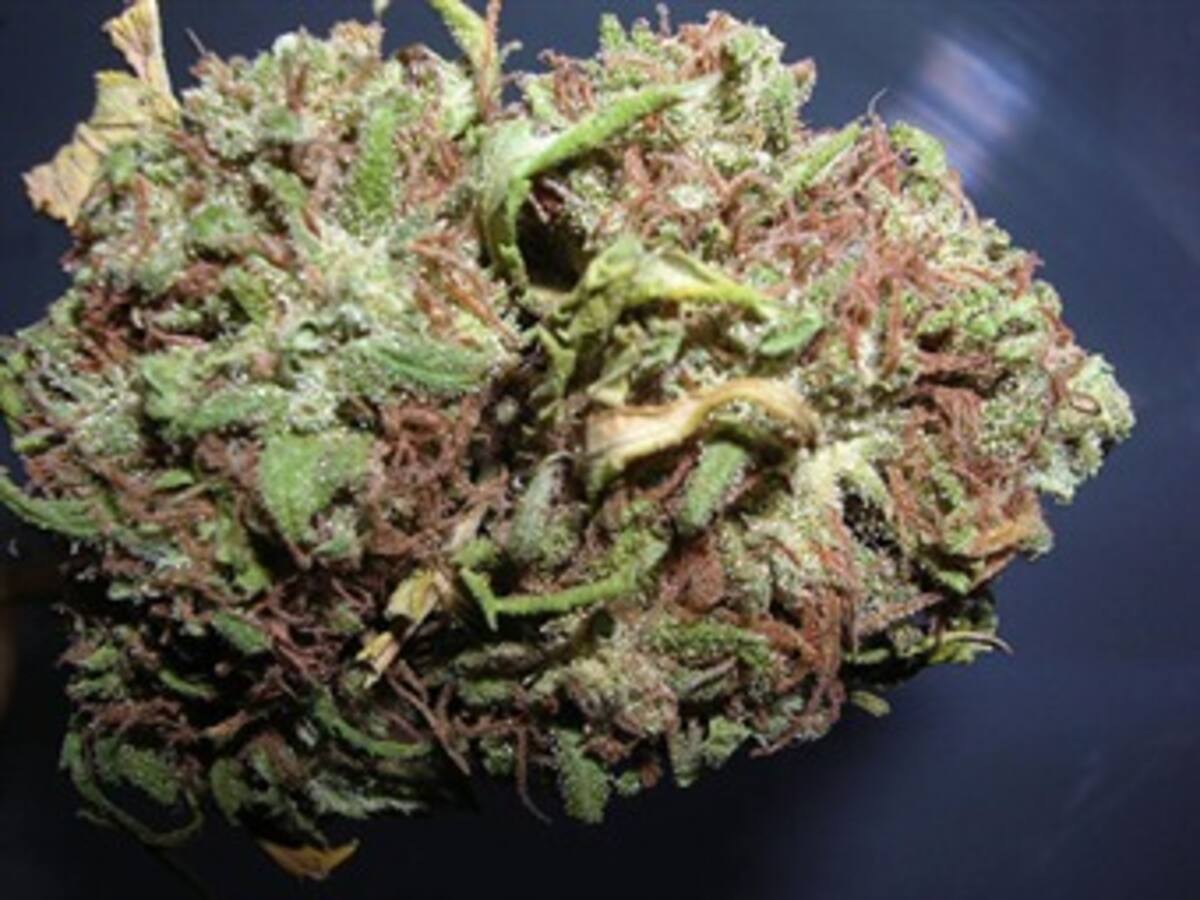 La inminente legalización de la marihuana. Columna de Pascual Gaviria