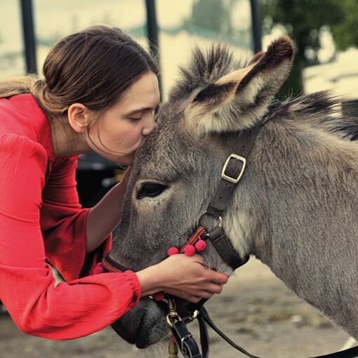 Cortesía: Interior XIII