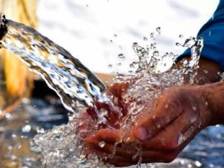 Imagen de referencia