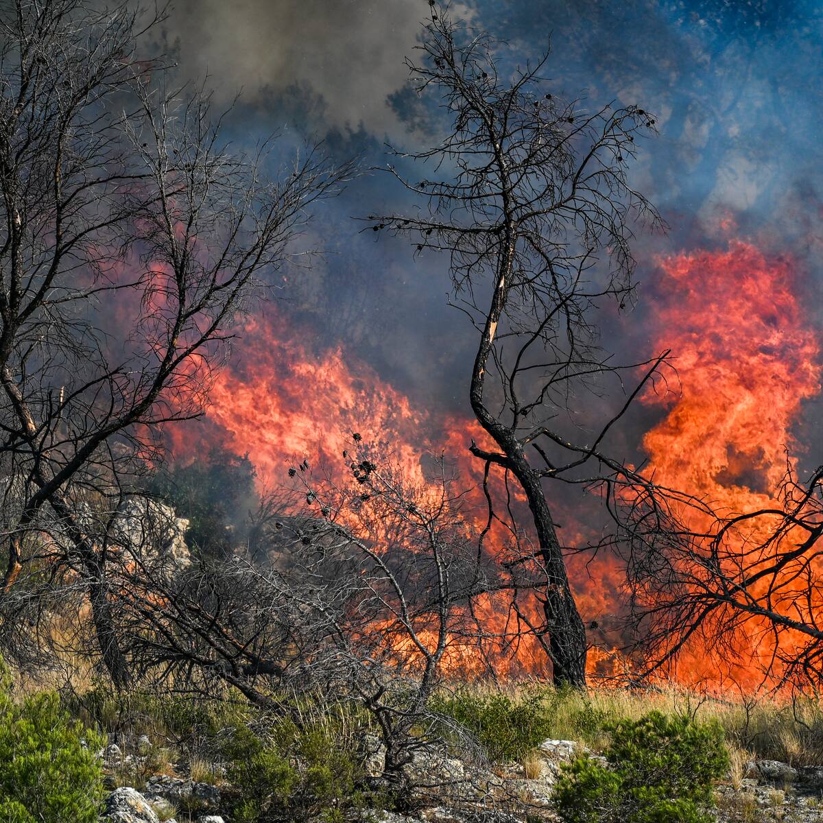 Más de 1.000 personas fueron evacuadas en el norte de España a causa de incendios forestales