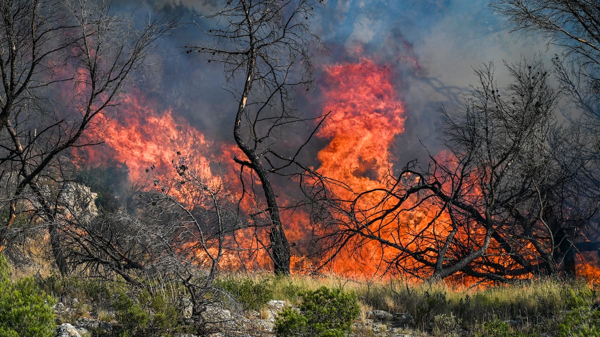 En Francia fueron evacuadas 3.000 personas por un incendio forestal