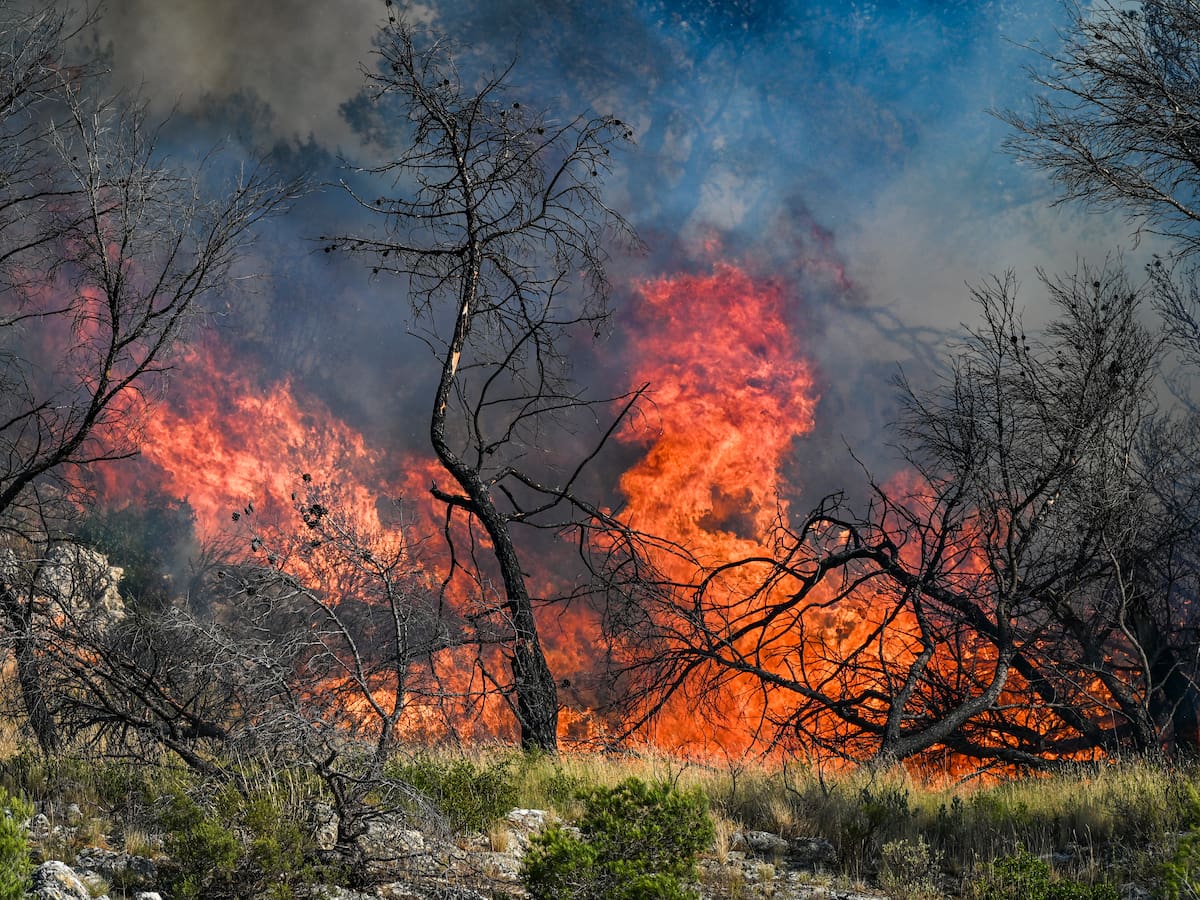 En Francia fueron evacuadas 3.000 personas por un incendio forestal