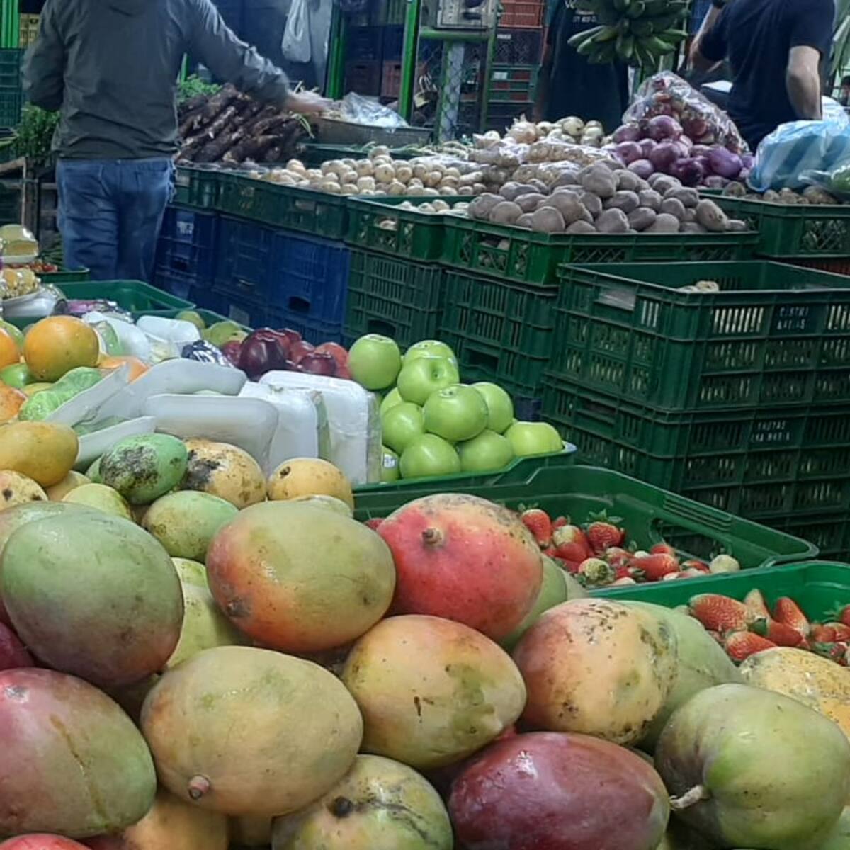 312 locales de la Plaza de Mercado La 41 no han cumplido con pagos administrativos