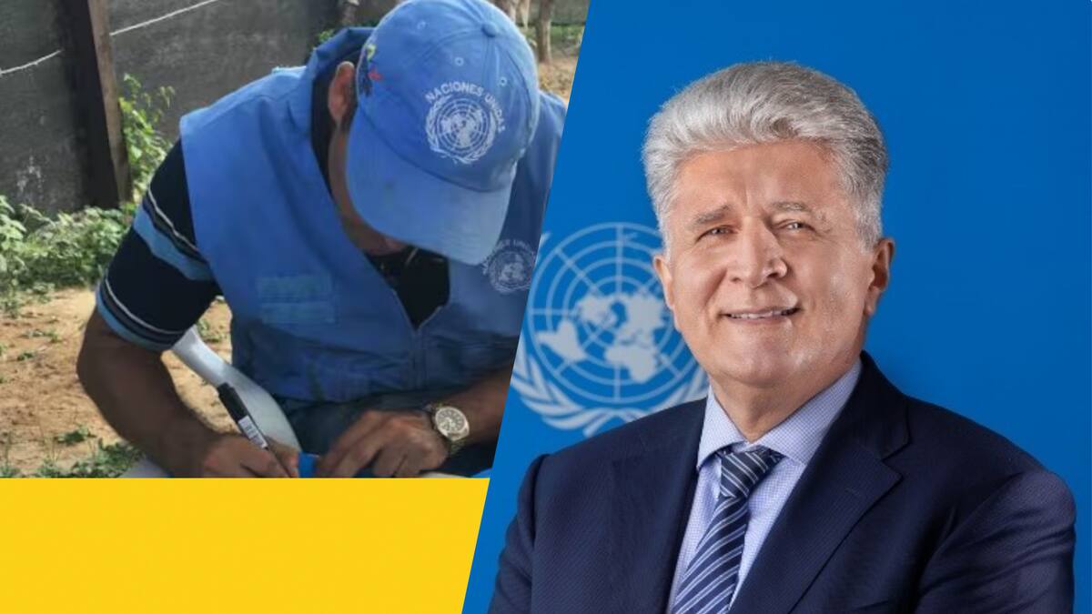 Informe de la ONU destaca sentencias de la JEP y urge garantías de seguridad para las elecciones 2026