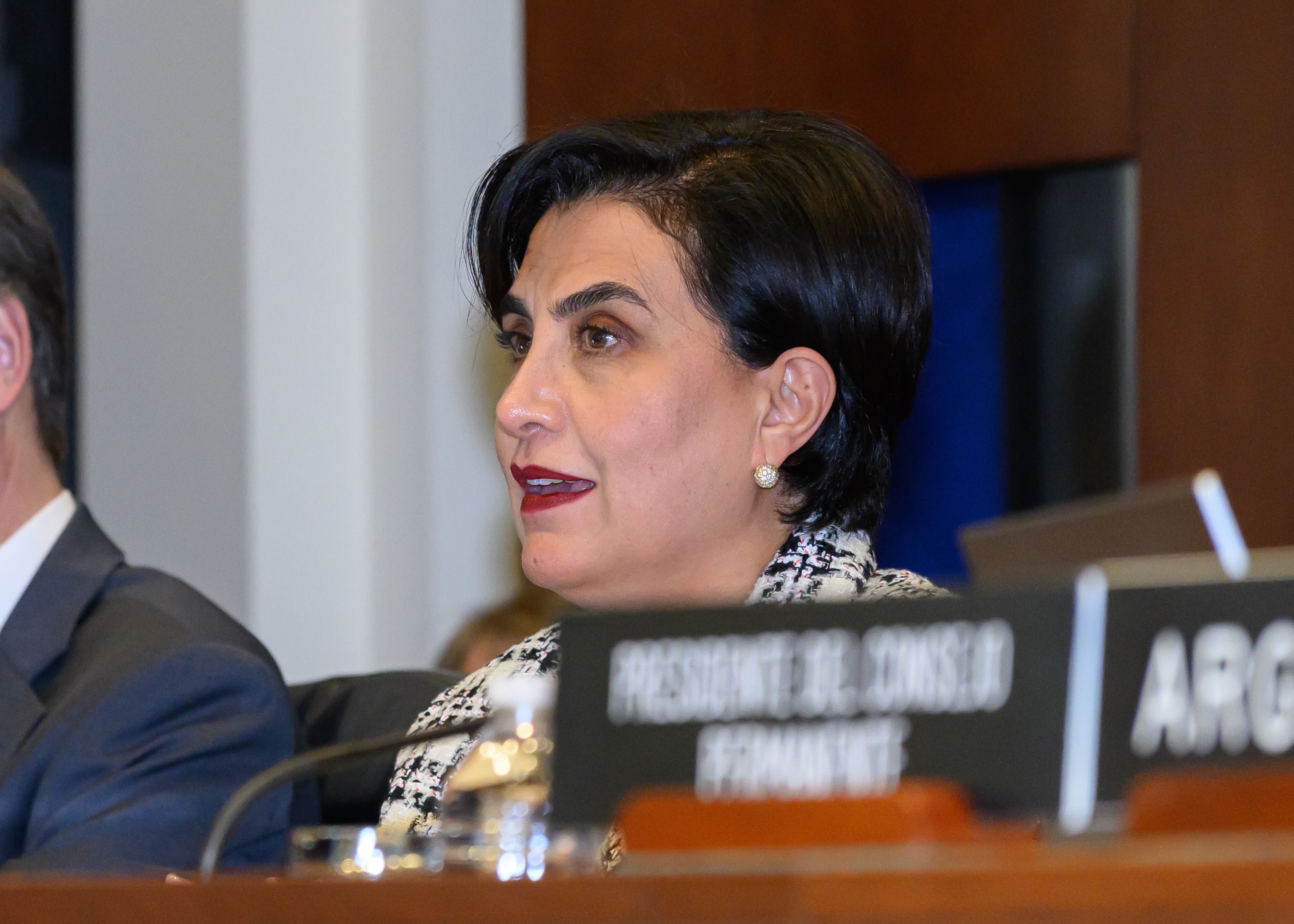 USA1585. WASHINGTON (DC, EEUU), 12/01/2024.- Fotografía cedida por la Organización de los Estados Americanos (OEA) donde aparece la canciller ecuatoriana, Gabriela Sommerfeld, mientras habla durante una sesión especial del Consejo Permanente celebrada hoy en la sede del oranismo en Washington (Estados Unidos). La OEA condenó este viernes la escalada de violencia que atraviesa Ecuador y ofreció su apoyo "técnico" y "político" al Gobierno del presidente Daniel Noboa. EFE/ Juan Manuel Herrera /OEA/ SOLO USO EDITORIAL/ SOLO DISPONIBLE PARA ILUSTRAR LA NOTICIA QUE ACOMPAÑA (CRÉDITO OBLIGATORIO)