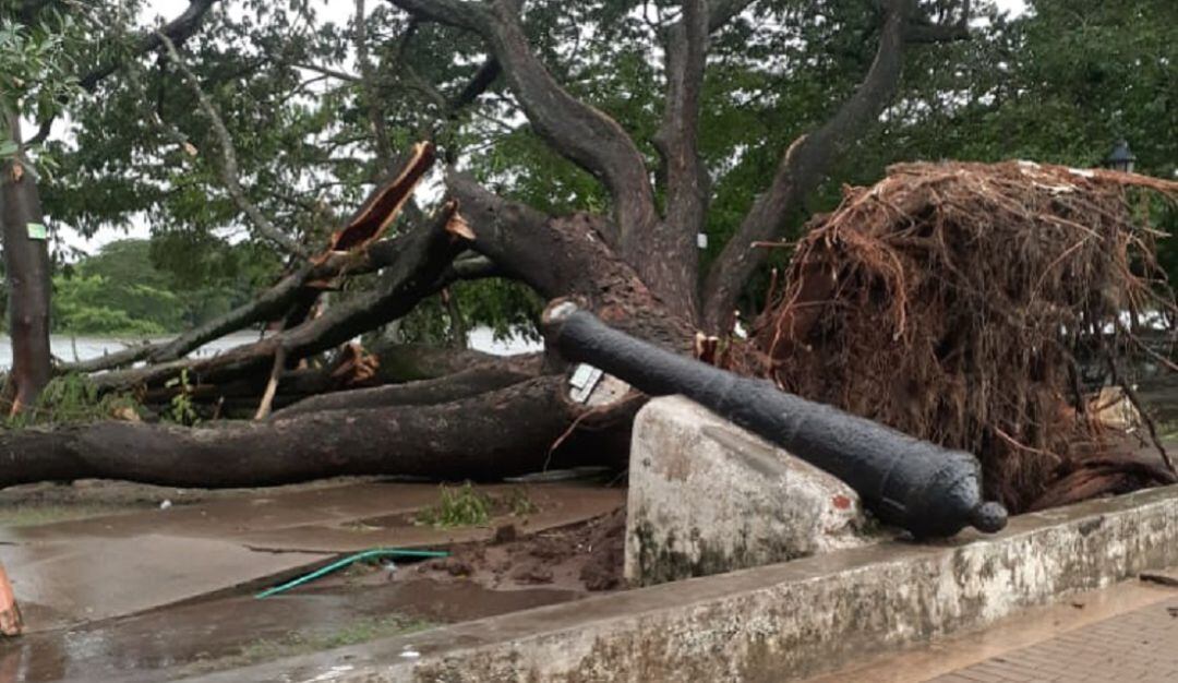 La Alcaldía Distrital adelanta un censo para determinar el número de personas damnificadas por las fuertes lluvias y vientos