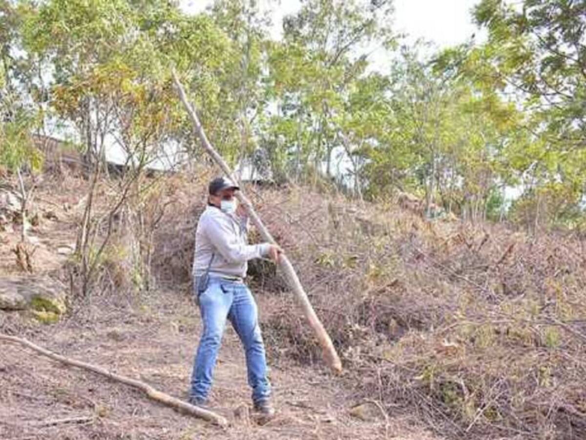 Devastación ambiental en predios invadidos en Bellavista