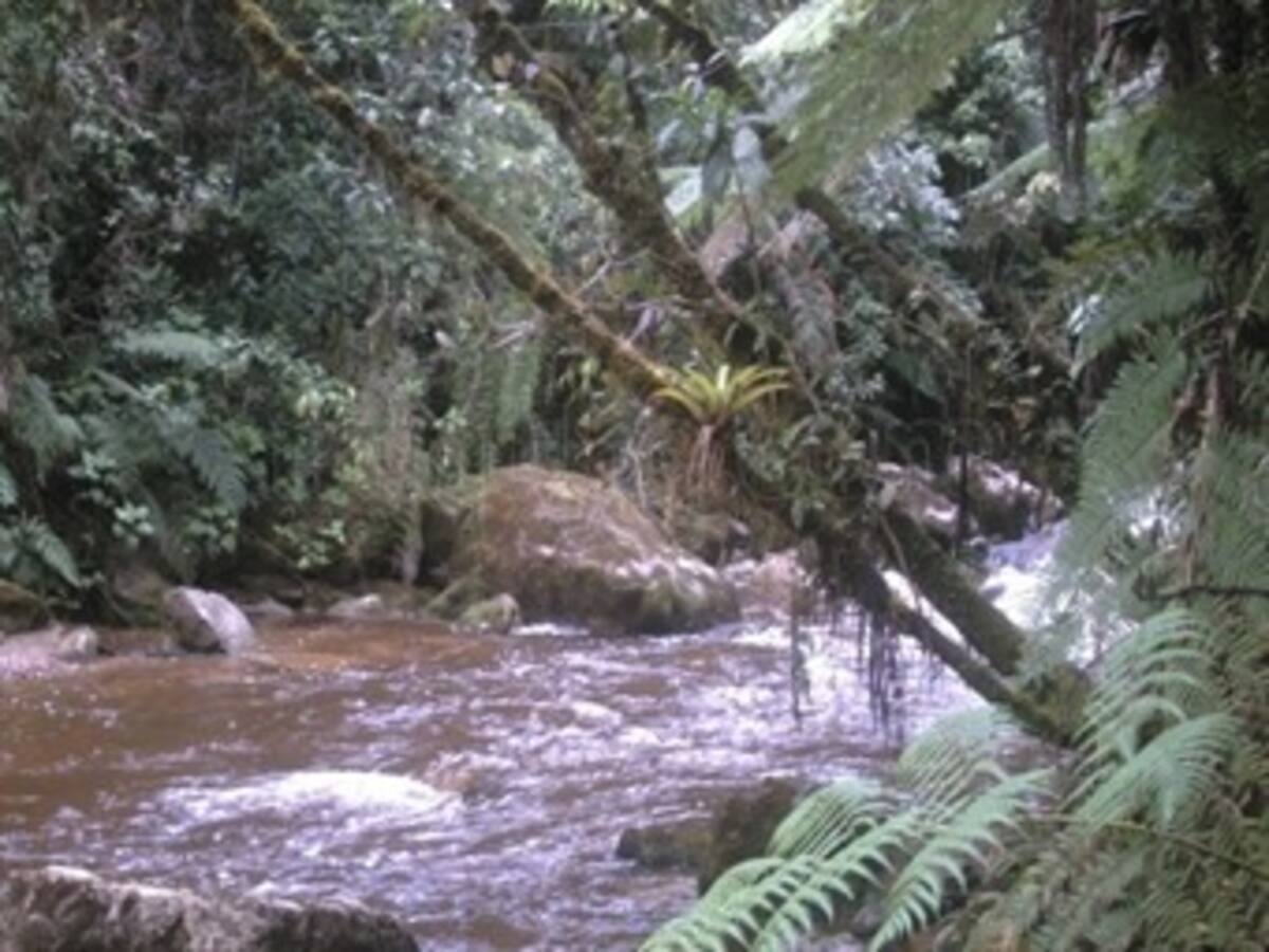 Lio de tierra, entre Santander y Boyacá por la creación de un parque natural