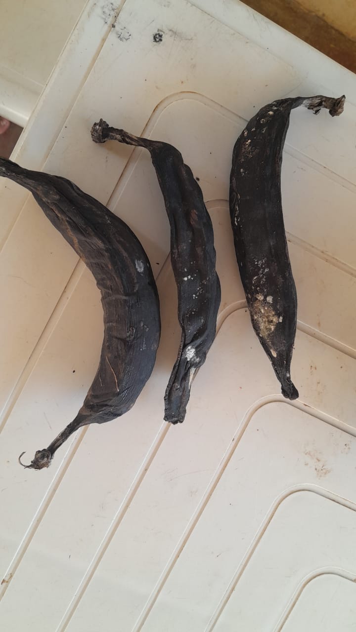 Alimentos en mal estado / Cortesía