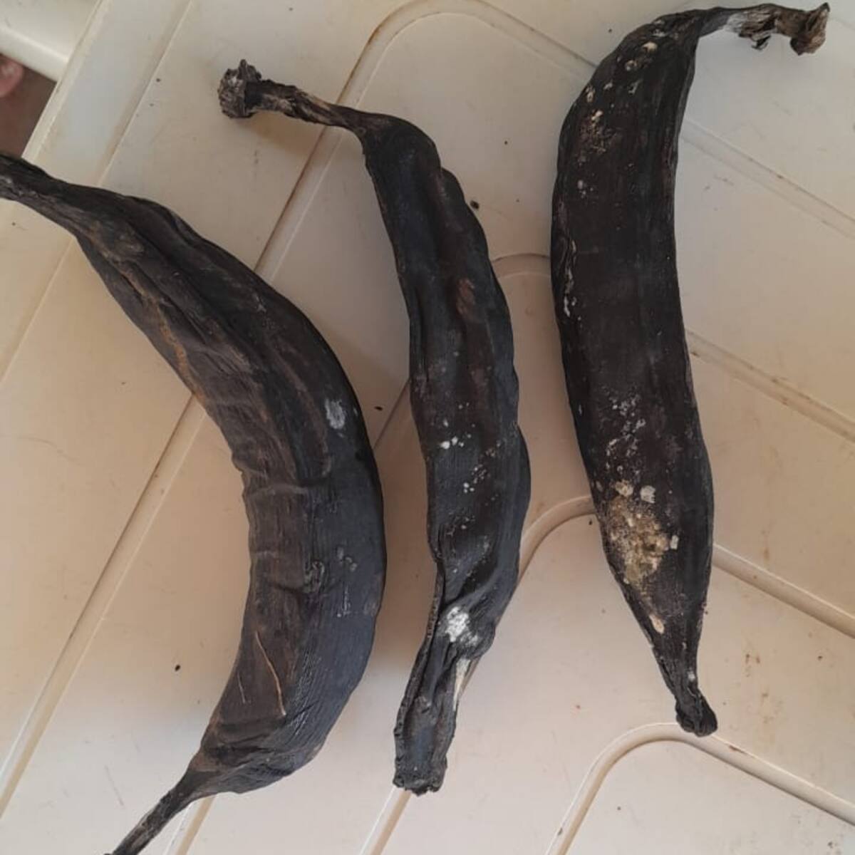 Denuncian que niños en Uribia, La Guajira, reciben alimentos en mal estado