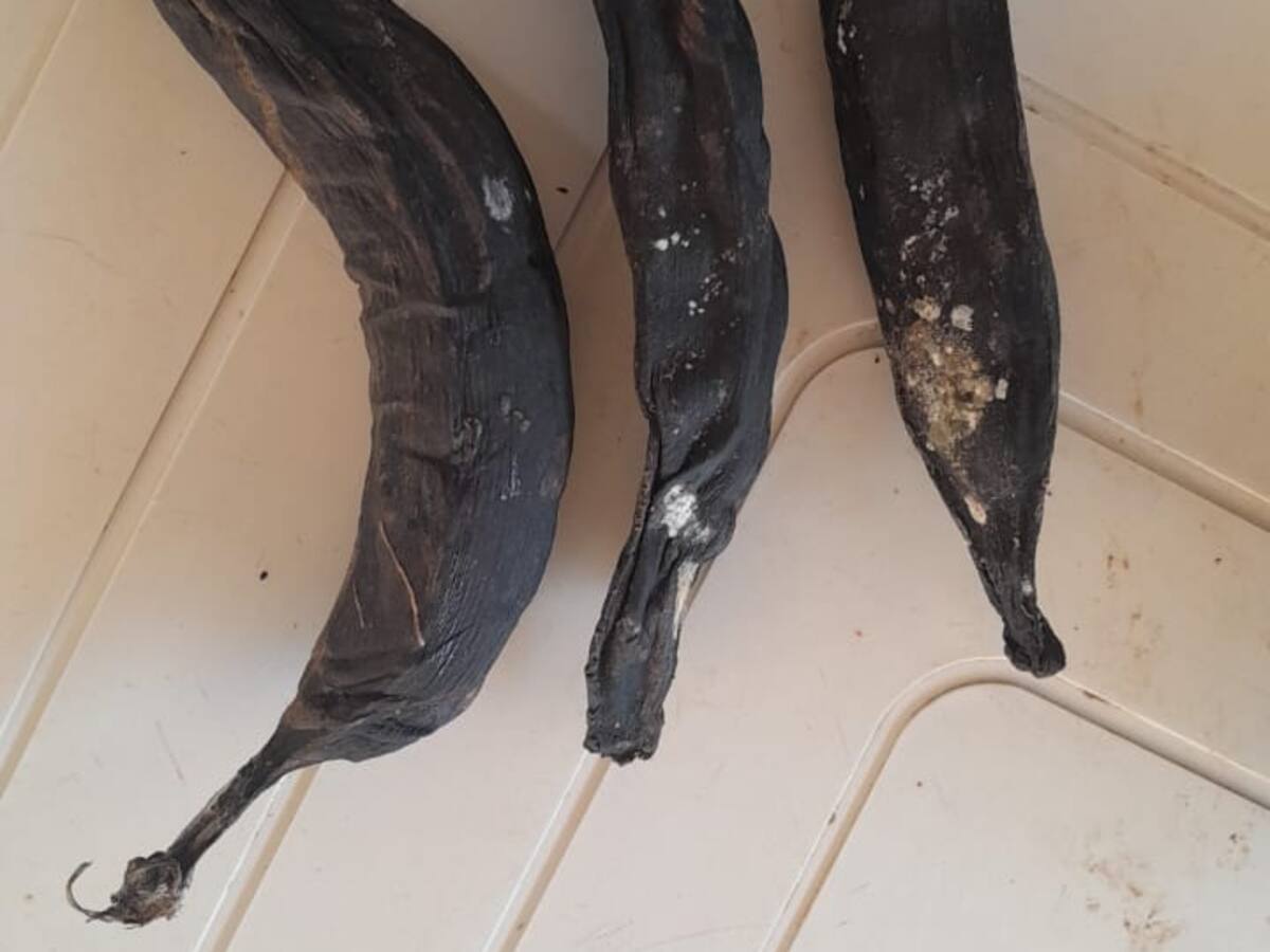 Denuncian que niños en Uribia, La Guajira, reciben alimentos en mal estado