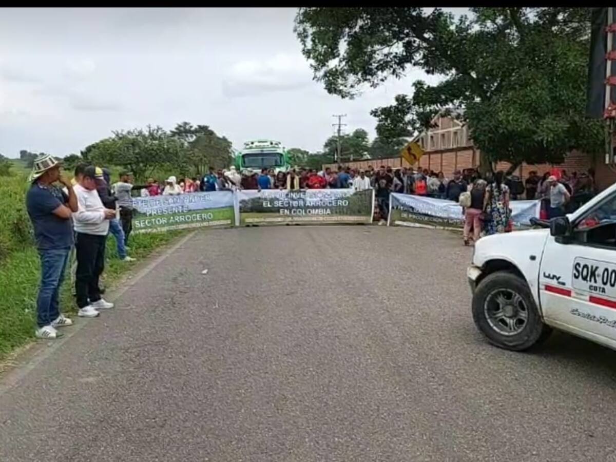 Viceministro de agricultura estará en Cúcuta para diálogo con arroceros