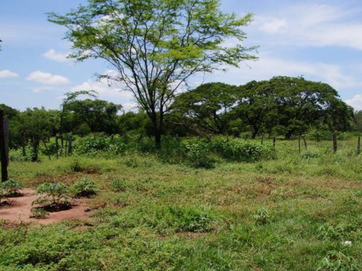 Víctima de alias El Tigre fue beneficiada con sentencias de restitución de tierras en Cesar