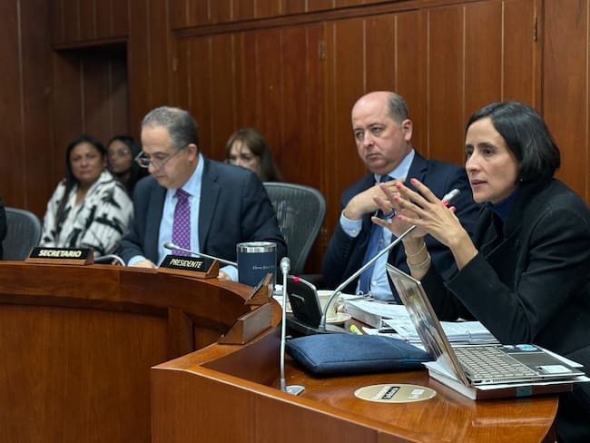 Gobierno Nacional emitió objetivos para definir reglamentación de mercados de carbono