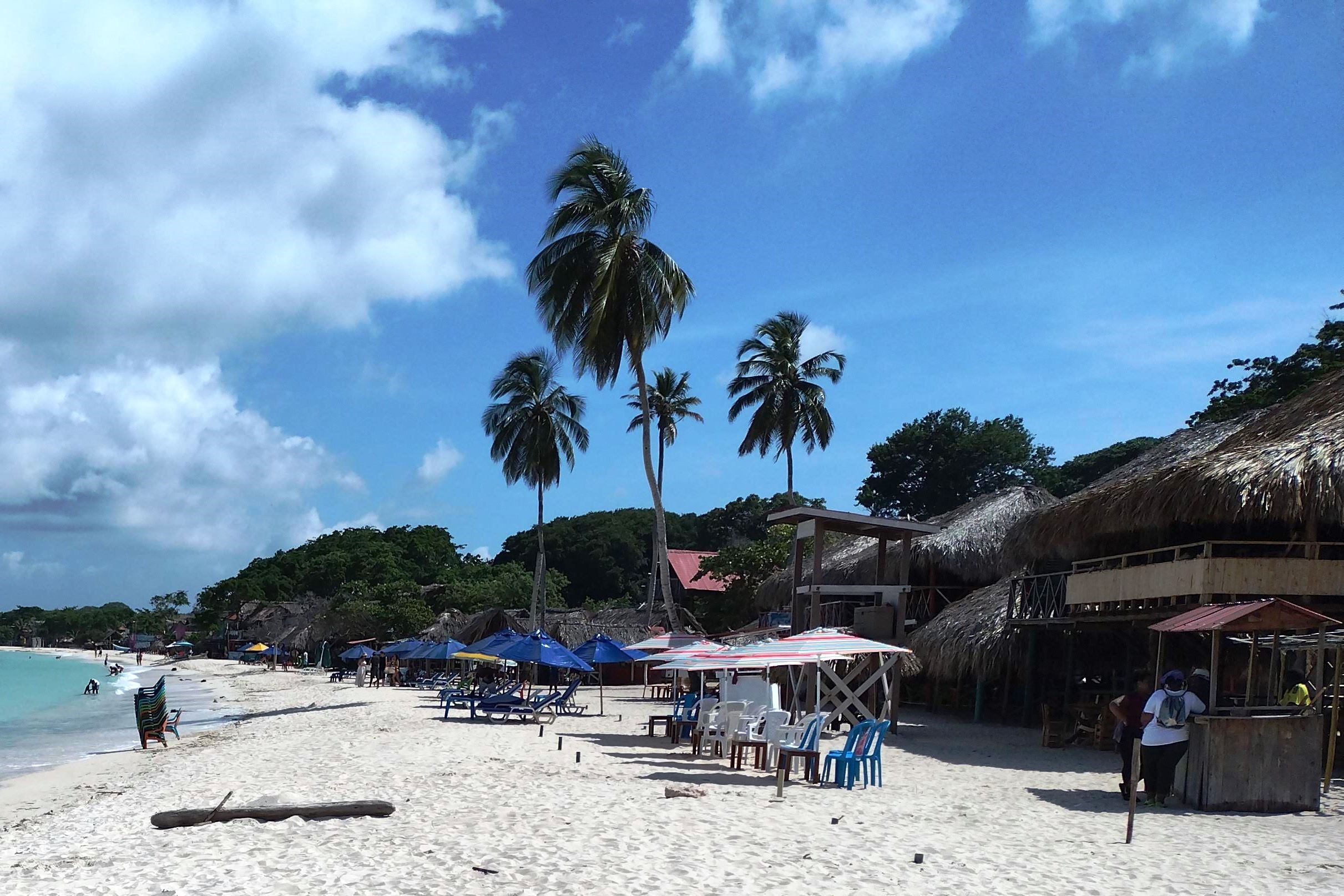 “Los resultados, más allá de las cifras, reflejan las necesidades”: Censo Barú 2023