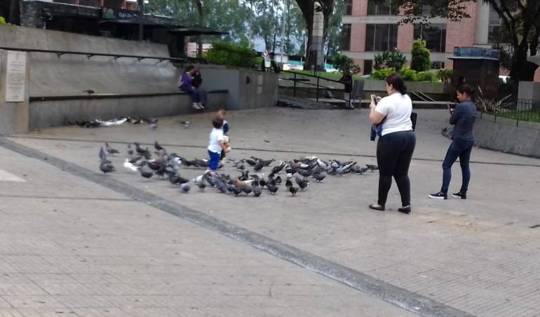 Facebook Caracol radio Armenia 1150am Tw @caracolRArmenia línea WhatsApp 3155681277