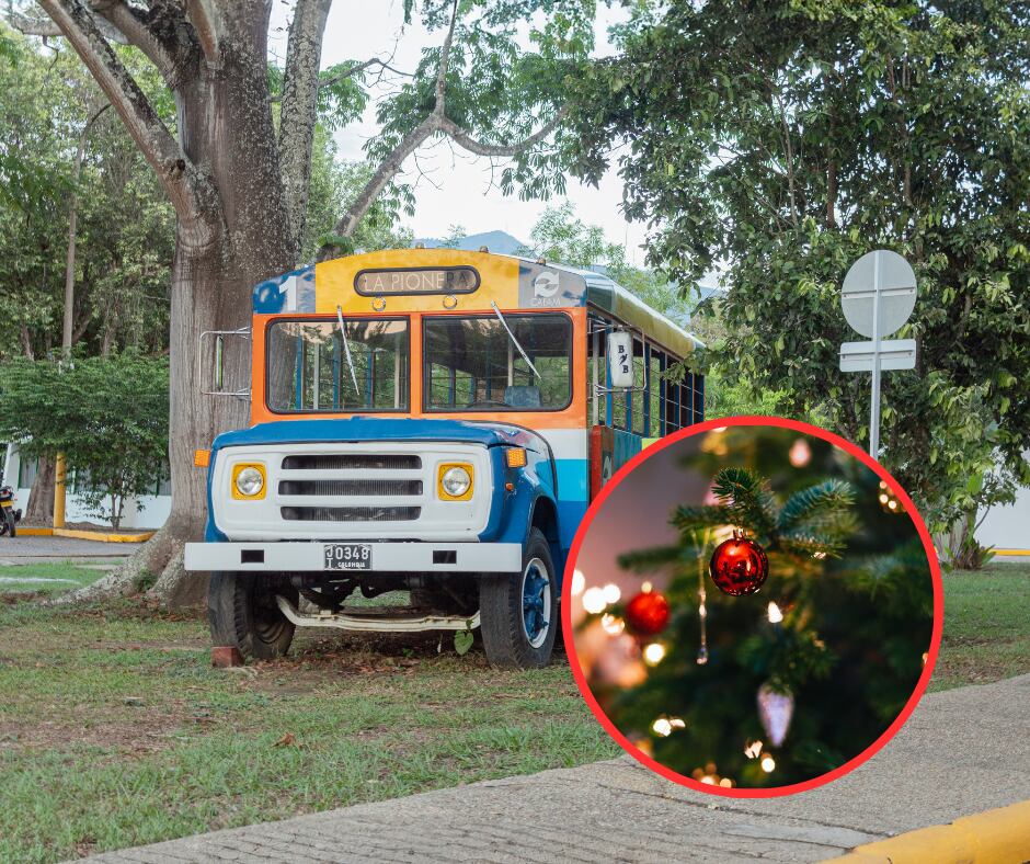 Melgar y decoración navideña (Getty Images)