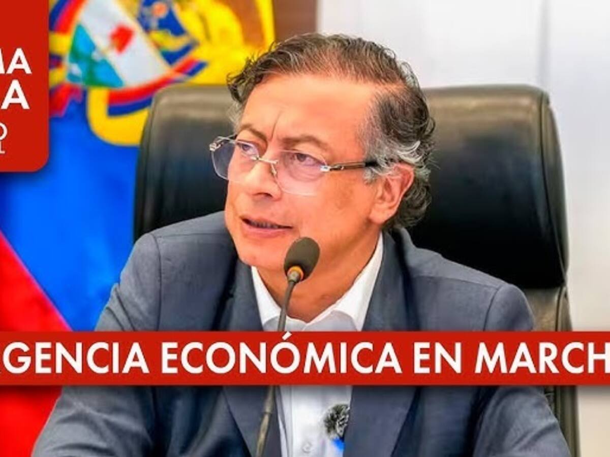 “Declaratoria de emergencia económica del Gobierno es una medida apresurada” dice el CEIV