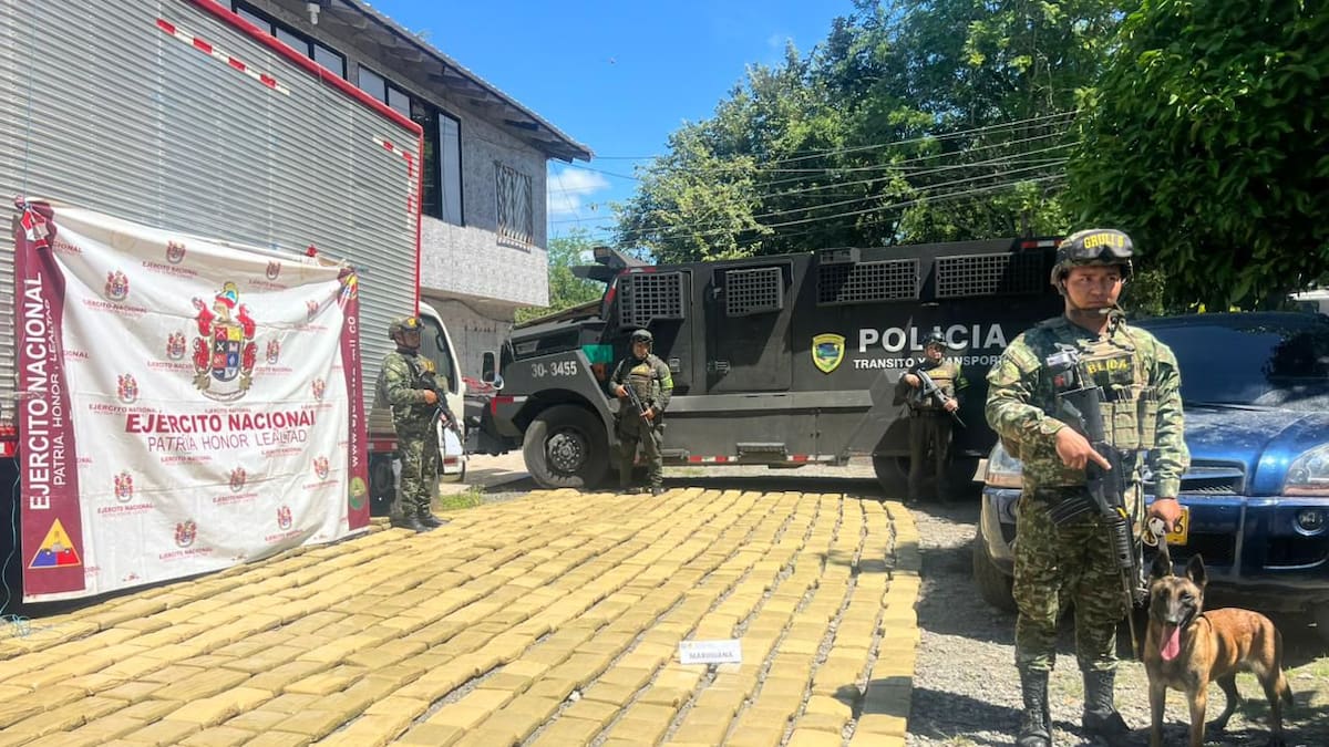 En el Cauca las autoridades impidieron la comercialización de más de 100 mil dosis de marihuana